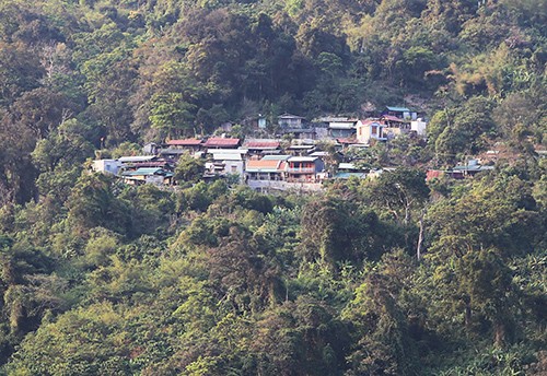 Văn hoá - Làng tỷ phú 'ngầm' trên núi Ngọc Linh, “vua sâm” chôn 300 tỷ đồng dưới lòng đất (Hình 5).