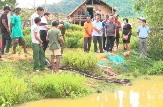 Tin nhanh - Tắm ao sâu trước nhà, 4 em nhỏ trong cùng một gia đình đuối nước tử vong