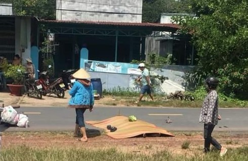 Tin nhanh - Bò chạy băng qua đường gây tai nạn khiến đôi vợ chồng thương vong