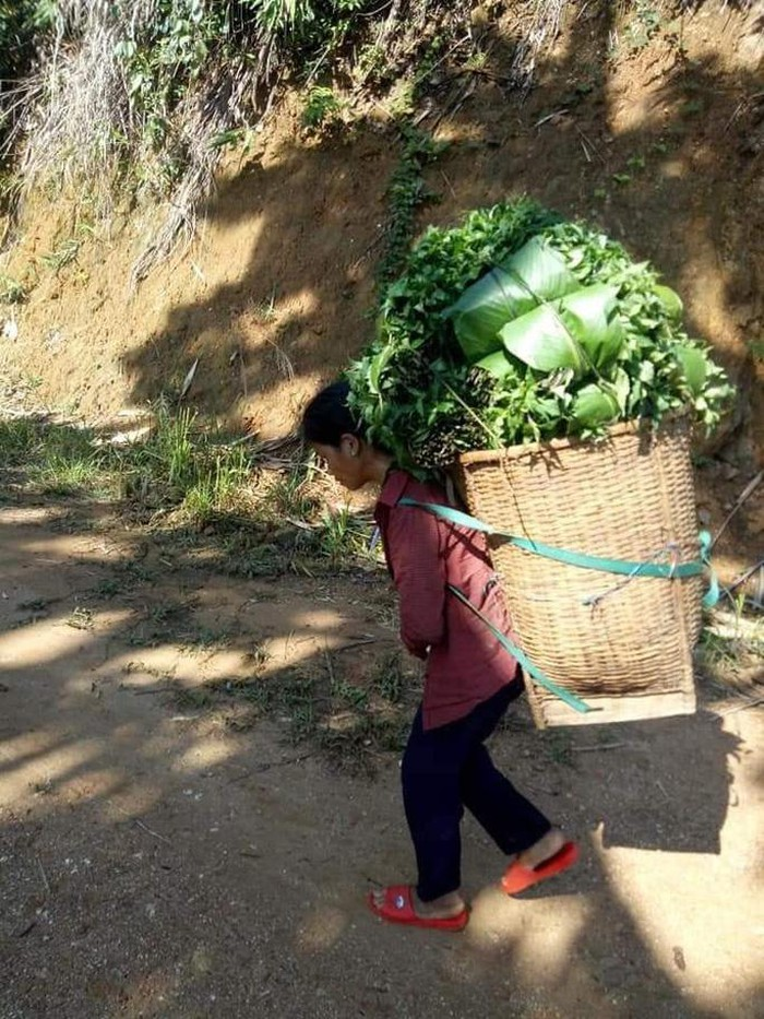 Văn hoá - Vác măng rừng đi ủng hộ chống dịch, cậu bé huyện núi nhận món quà “ấm bụng”