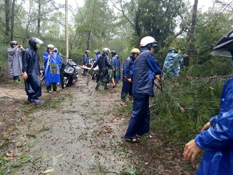 Tin nhanh - Huế: Huy động tổng lực khắc phục thiệt hại do bão số 13 gây ra (Hình 6).