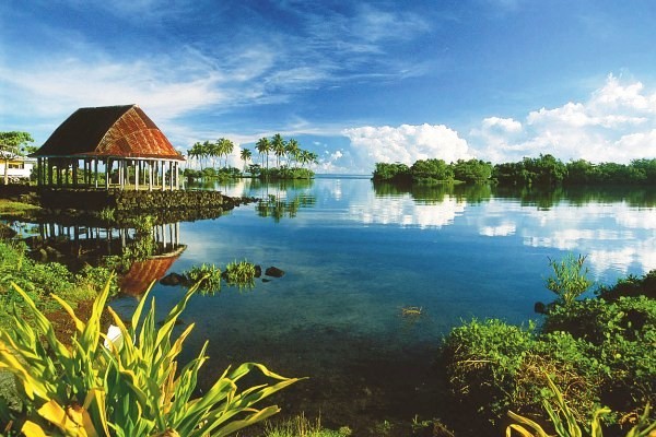 Tiêu điểm - Tưng bừng không khí đón năm mới 2018 trên thế giới