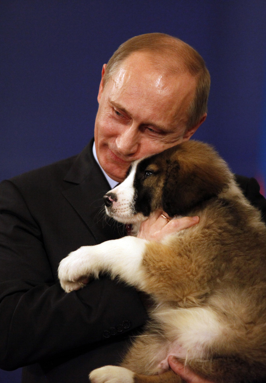 Tiêu điểm - Tiết lộ bí mật thú vị về những chú chó của Tổng thống Nga Putin (Hình 3).