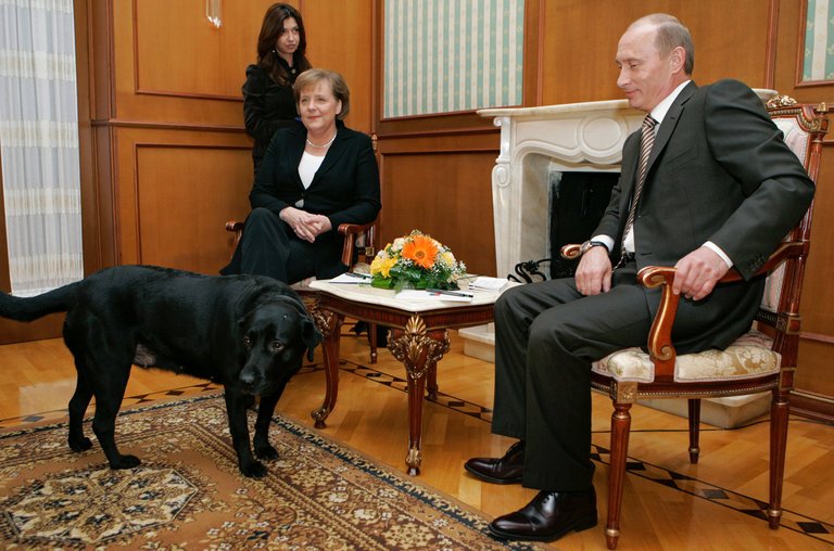 Tiêu điểm - Tiết lộ bí mật thú vị về những chú chó của Tổng thống Nga Putin (Hình 5).