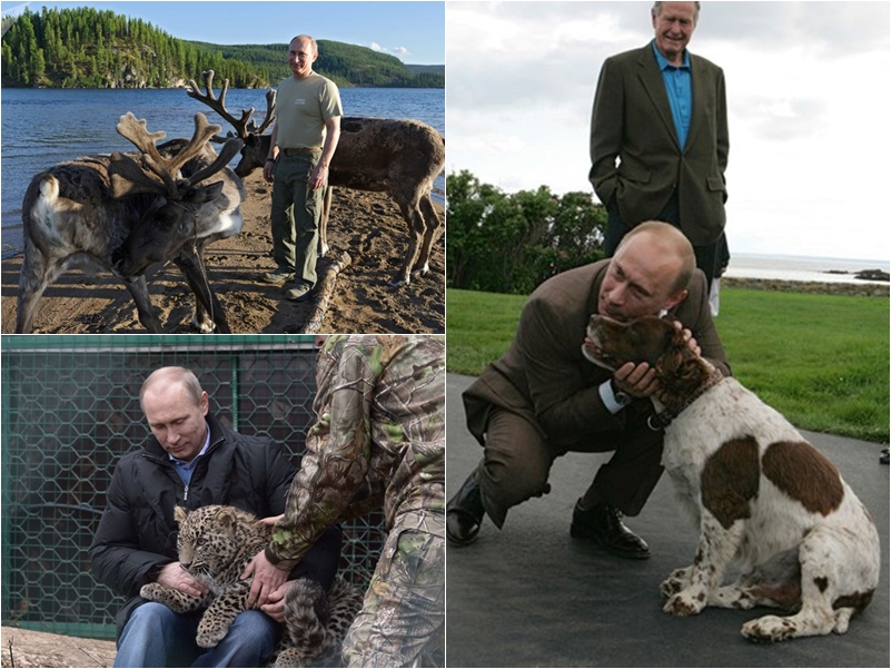 Tiêu điểm - Tiết lộ bí mật thú vị về những chú chó của Tổng thống Nga Putin (Hình 6).