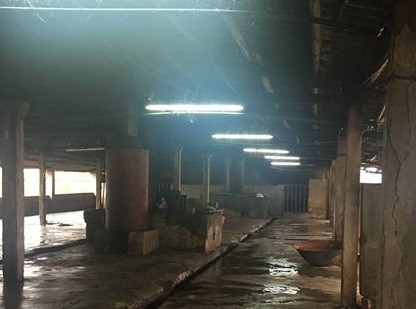 Điều tra vụ người đàn ông đâm bạn tử vong tại lò mổ lợn