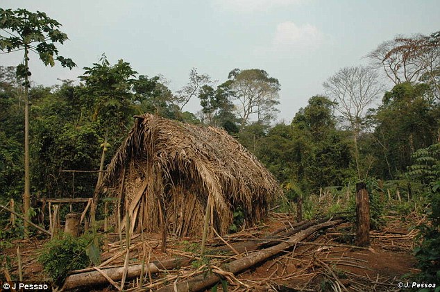 Video - Clip: Thổ dân Amazon cuối cùng còn sót lại ở Brazil