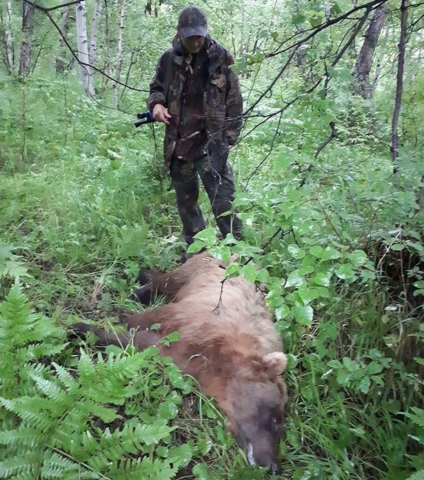 Video - Nga: G&acirc;́u đ&ocirc;̣t nh&acirc;̣p nghĩa trang, đào bới và tàn phá hơn 20 ng&ocirc;i m&ocirc;̣