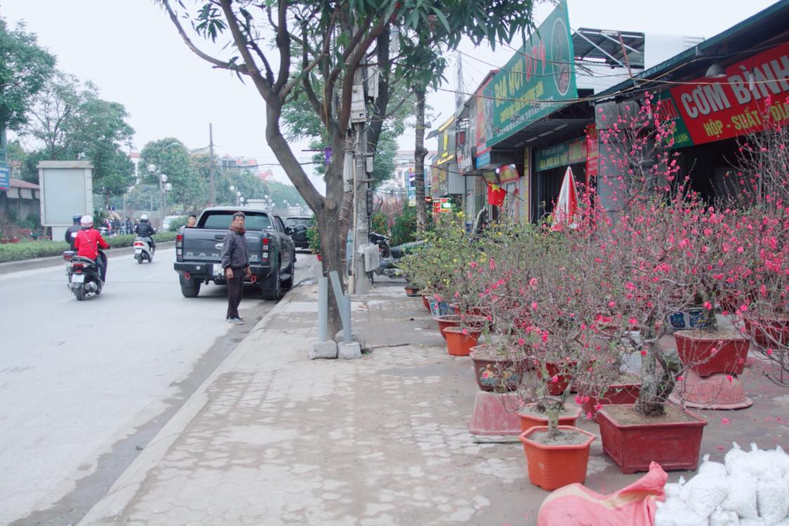 An ninh - Hình sự - Hà Nội: Công an ra quân, đảm bảo an toàn chợ hoa Xuân 2018 (Hình 3).