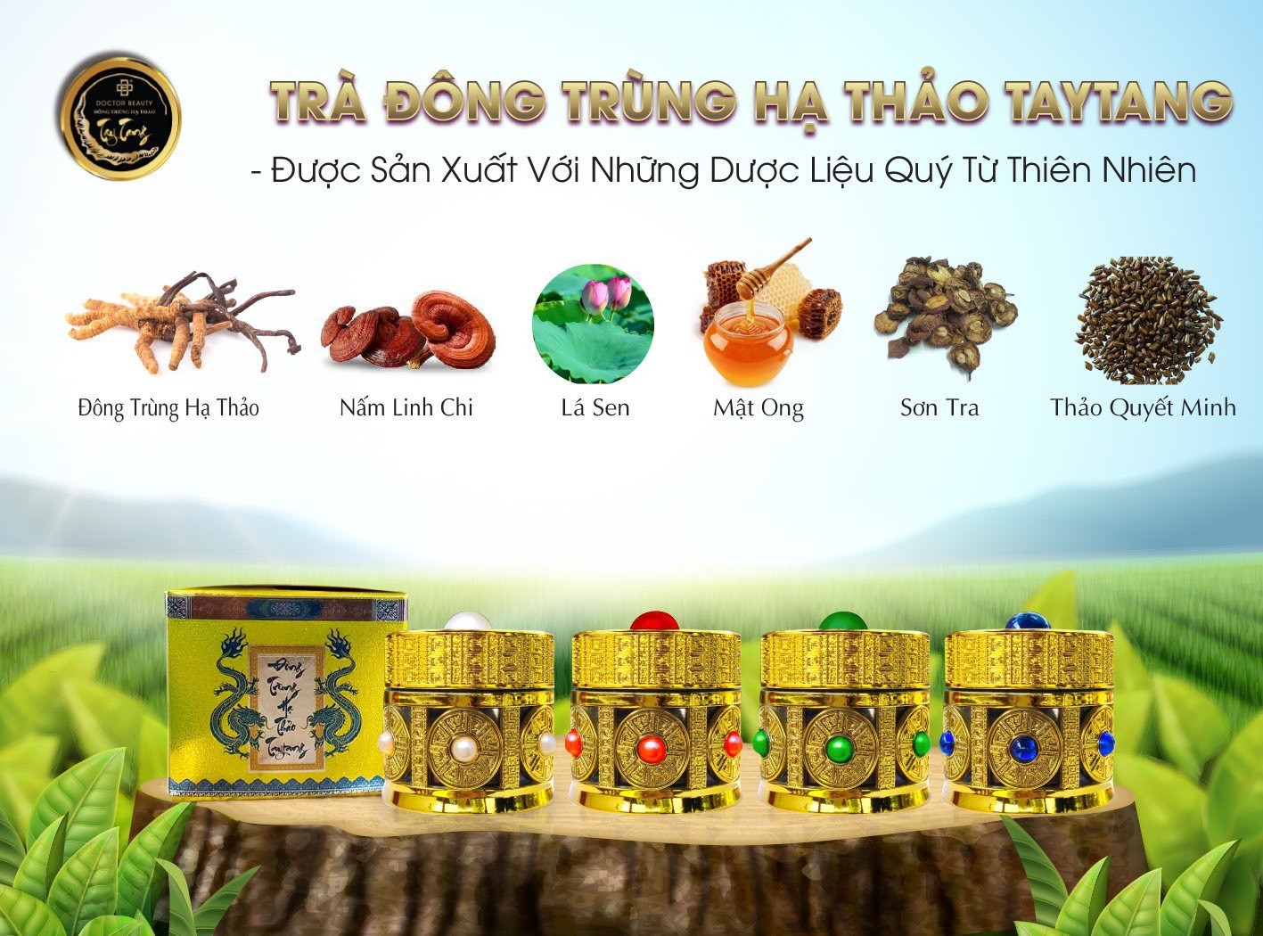 Kết nối - Nâng cao sức khỏe với sản phẩm trà đông trùng hạ thảo TayTang (Hình 5).