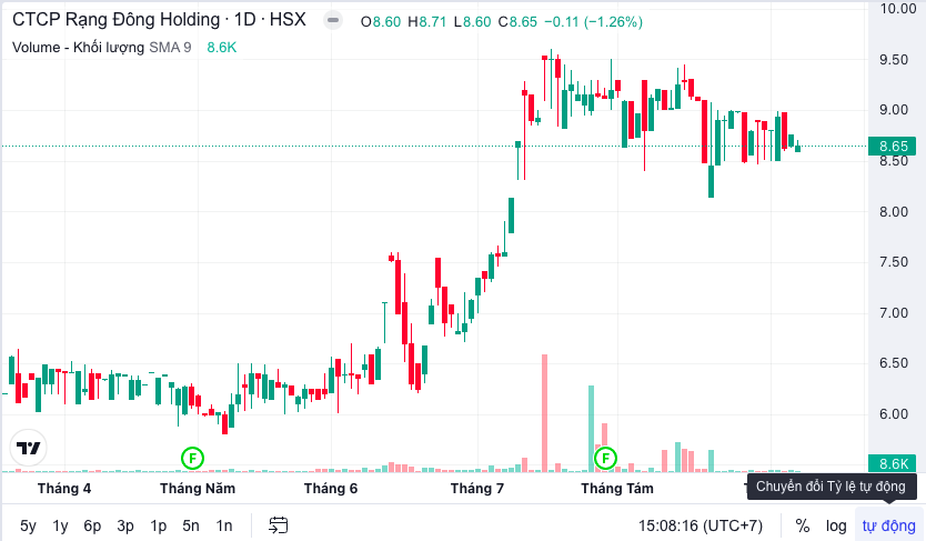 Hồ sơ doanh nghiệp - Rạng Đông Holding muốn huy động 300 tỷ đồng để trả nợ