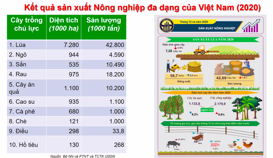 Tiêu dùng & Dư luận - Cách nào cải thiện khả năng chống chịu của hệ thống lương thực Việt Nam? (Hình 2).