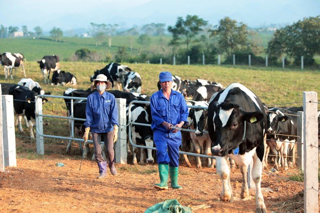 Hồ sơ doanh nghiệp - Loạt công ty bị phạt do công bố tài liệu không đúng thời hạn