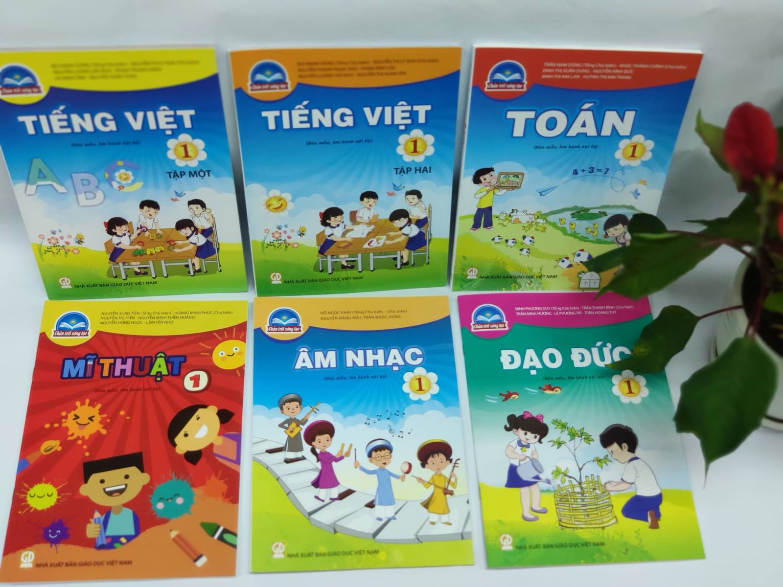 Tiêu điểm - NXB Giáo dục Việt Nam hoạt động thế nào trước khi bị thanh tra? (Hình 2).