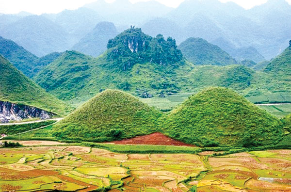 Dân sinh - Vượt 2.000km đến xứ sở hoa tam giác mạch, cô gái thót tim vì điều này (Hình 3).