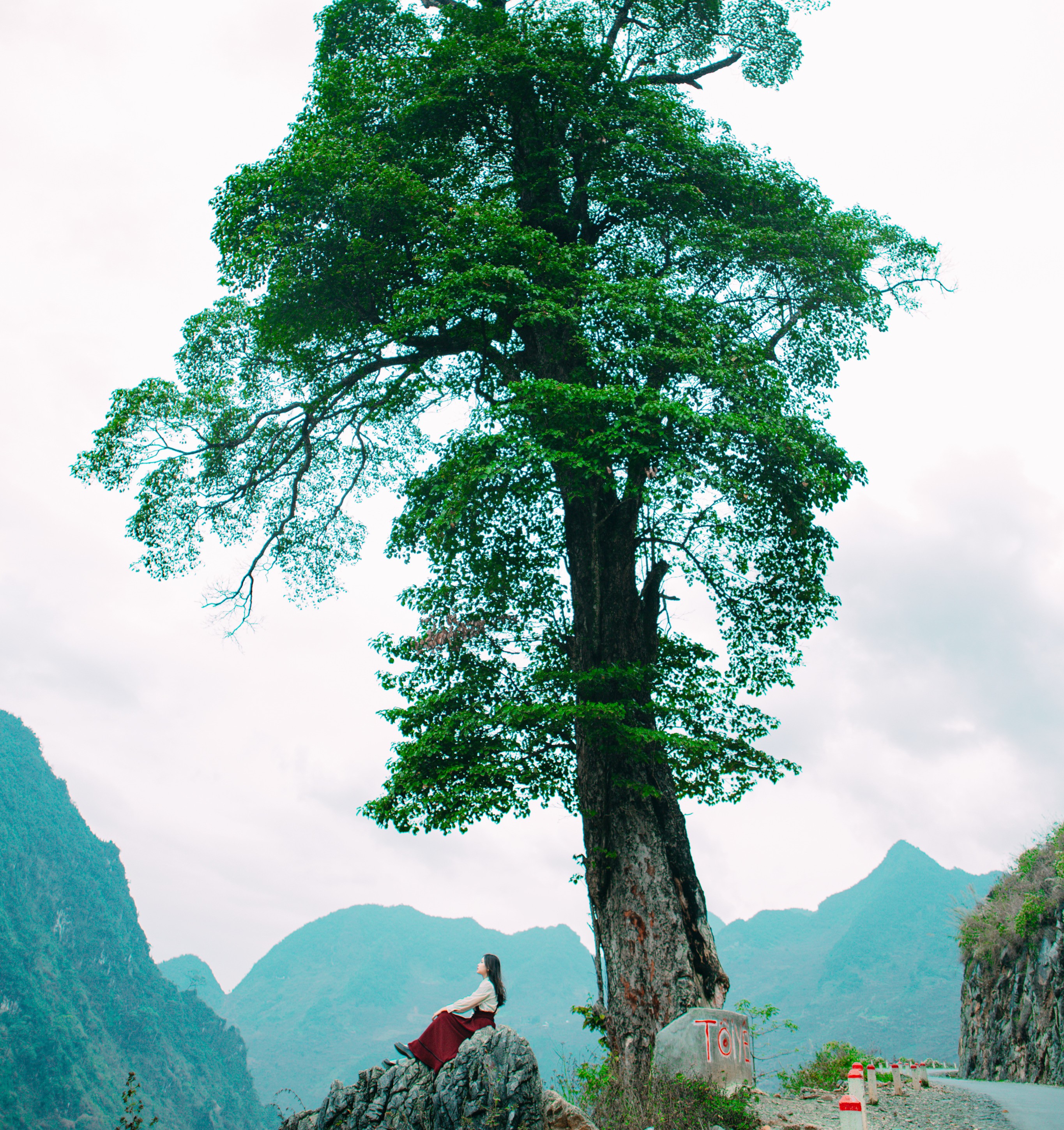 Dân sinh - Vượt 2.000km đến xứ sở hoa tam giác mạch, cô gái thót tim vì điều này (Hình 4).