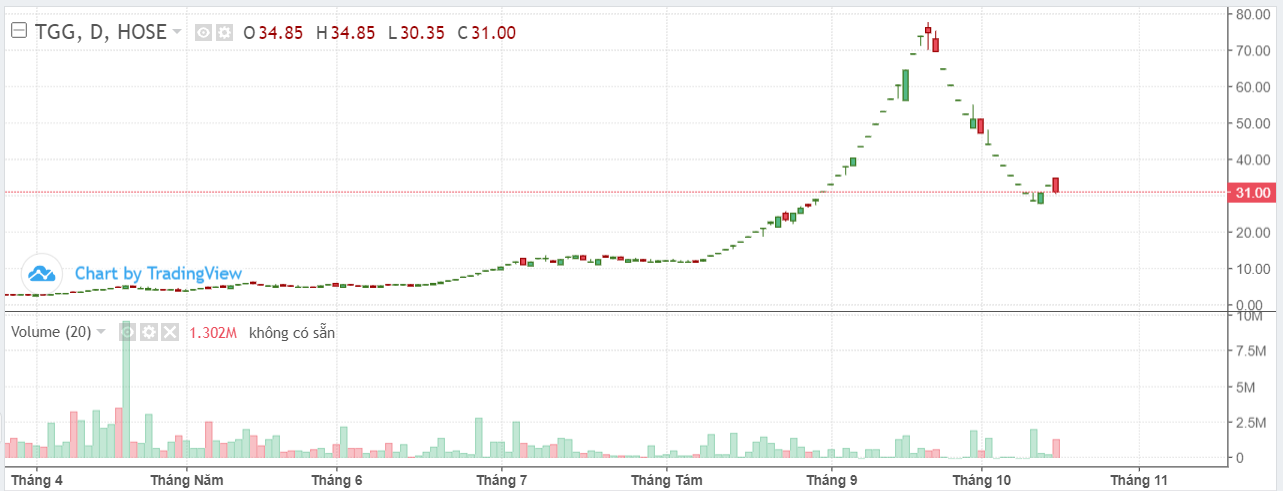 Hồ sơ doanh nghiệp - Một cá nhân lỗ hơn 55 tỷ sau hai tuần mua cổ phiếu TGG
