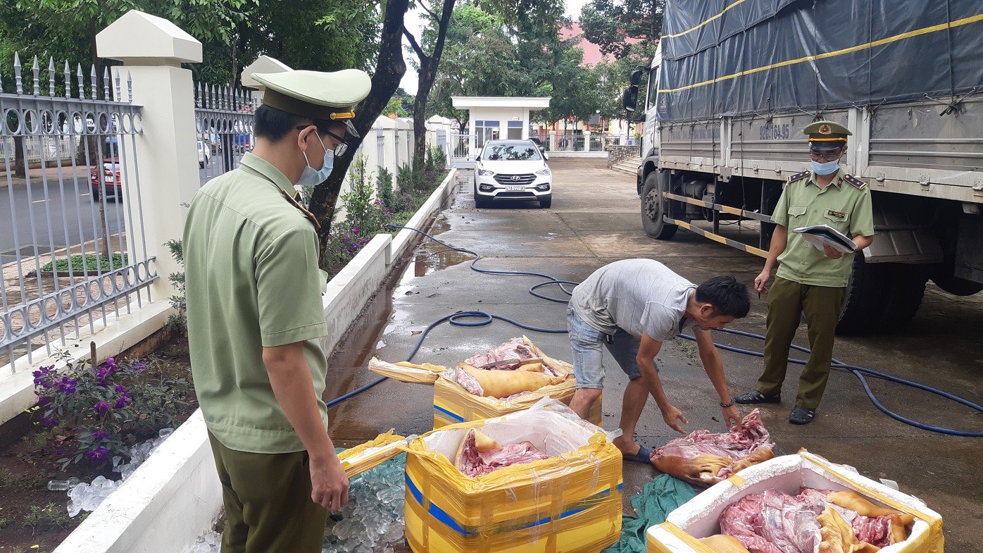 Tiêu dùng & Dư luận - Đắk Lắk: Thu giữ 300kg thịt heo nái bốc mùi hôi thối