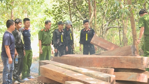 An ninh - Hình sự - Nguyên Giám đốc công ty lâm nghiệp bị khởi tố (Hình 2).