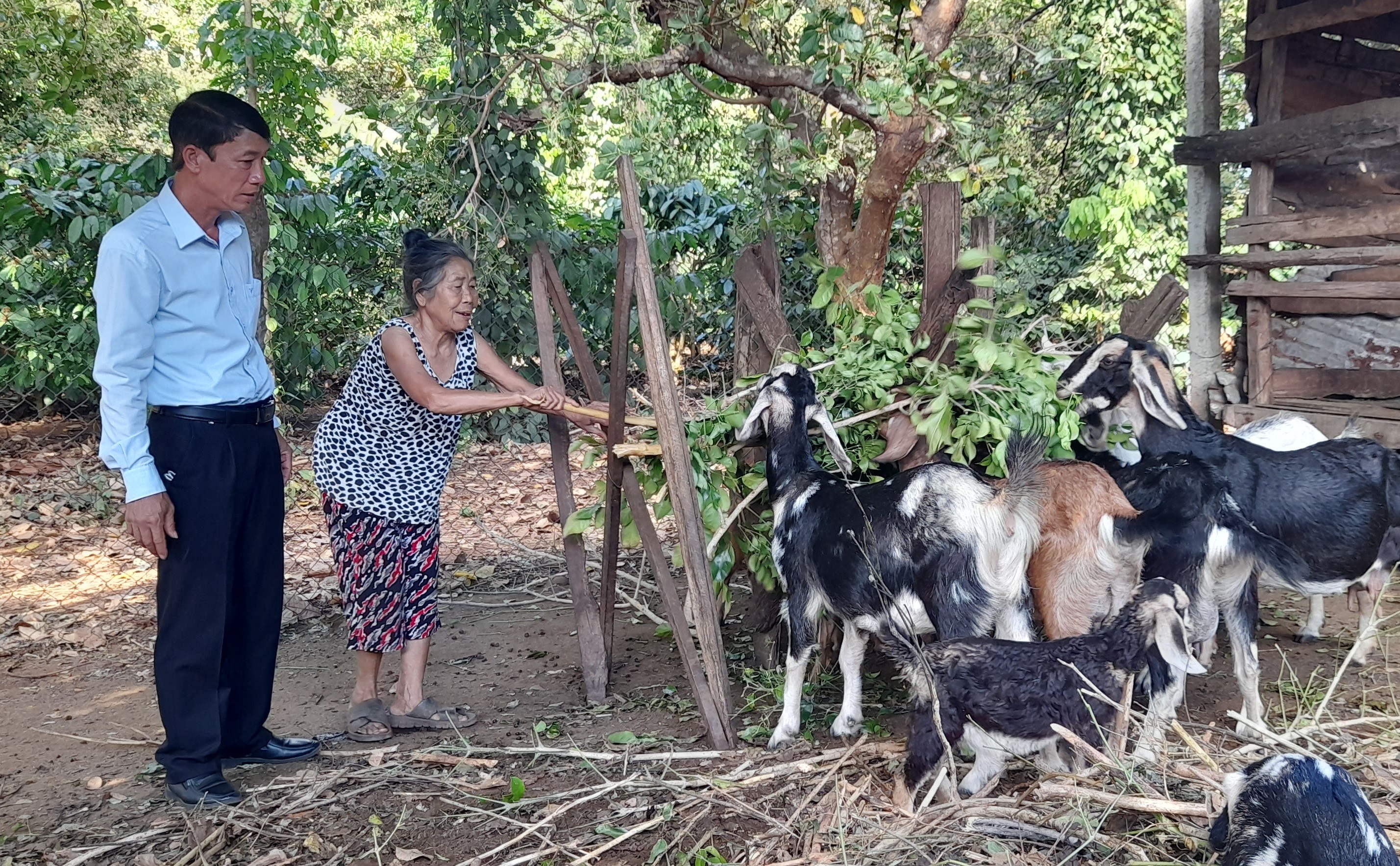 Dân sinh - Giúp dân thoát nghèo từ phong trào tiết kiệm nuôi heo đất (Hình 3).