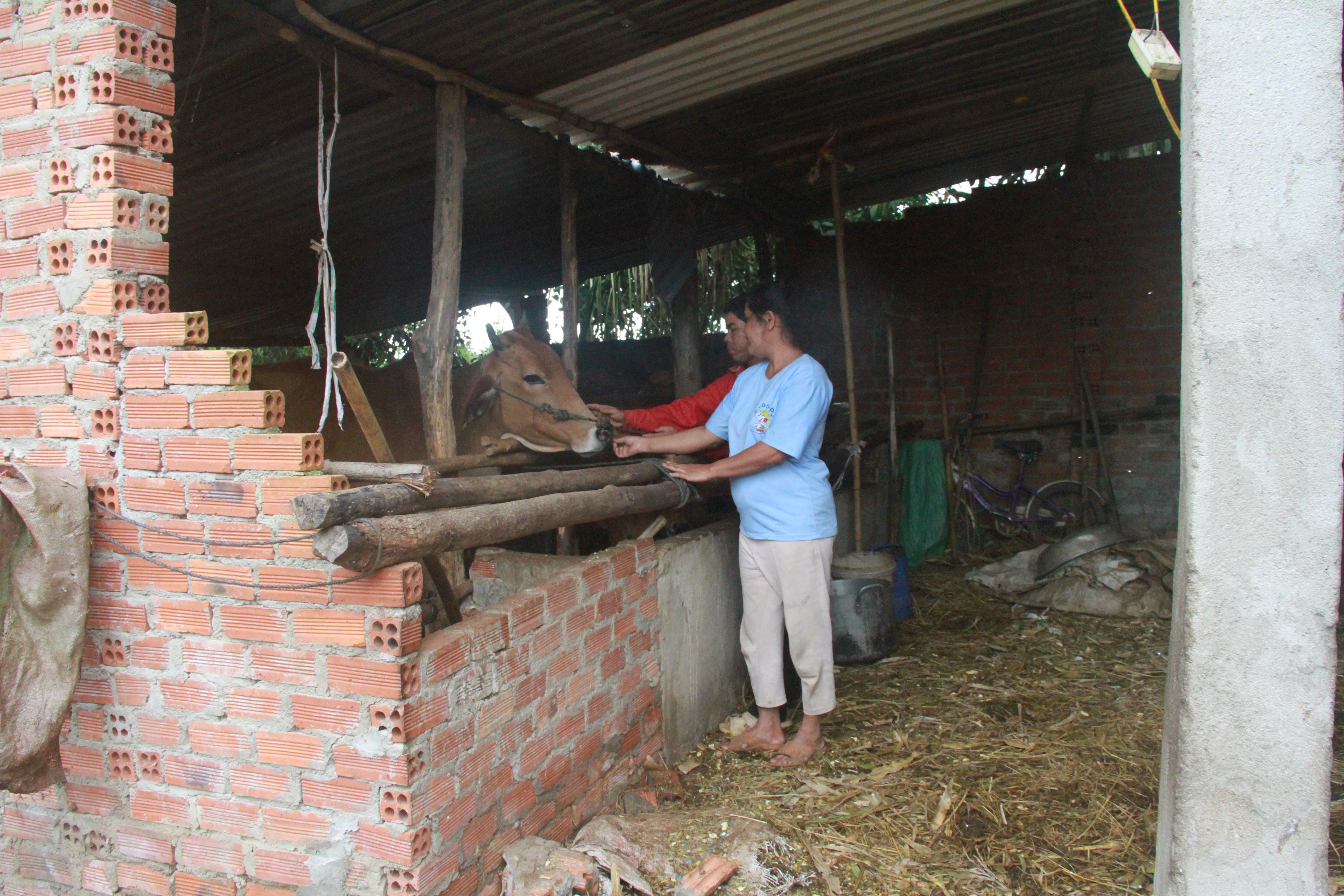 Dân sinh - Sau gần 20 năm, người dân khu tái định cư vẫn không thoát nghèo (Hình 3).