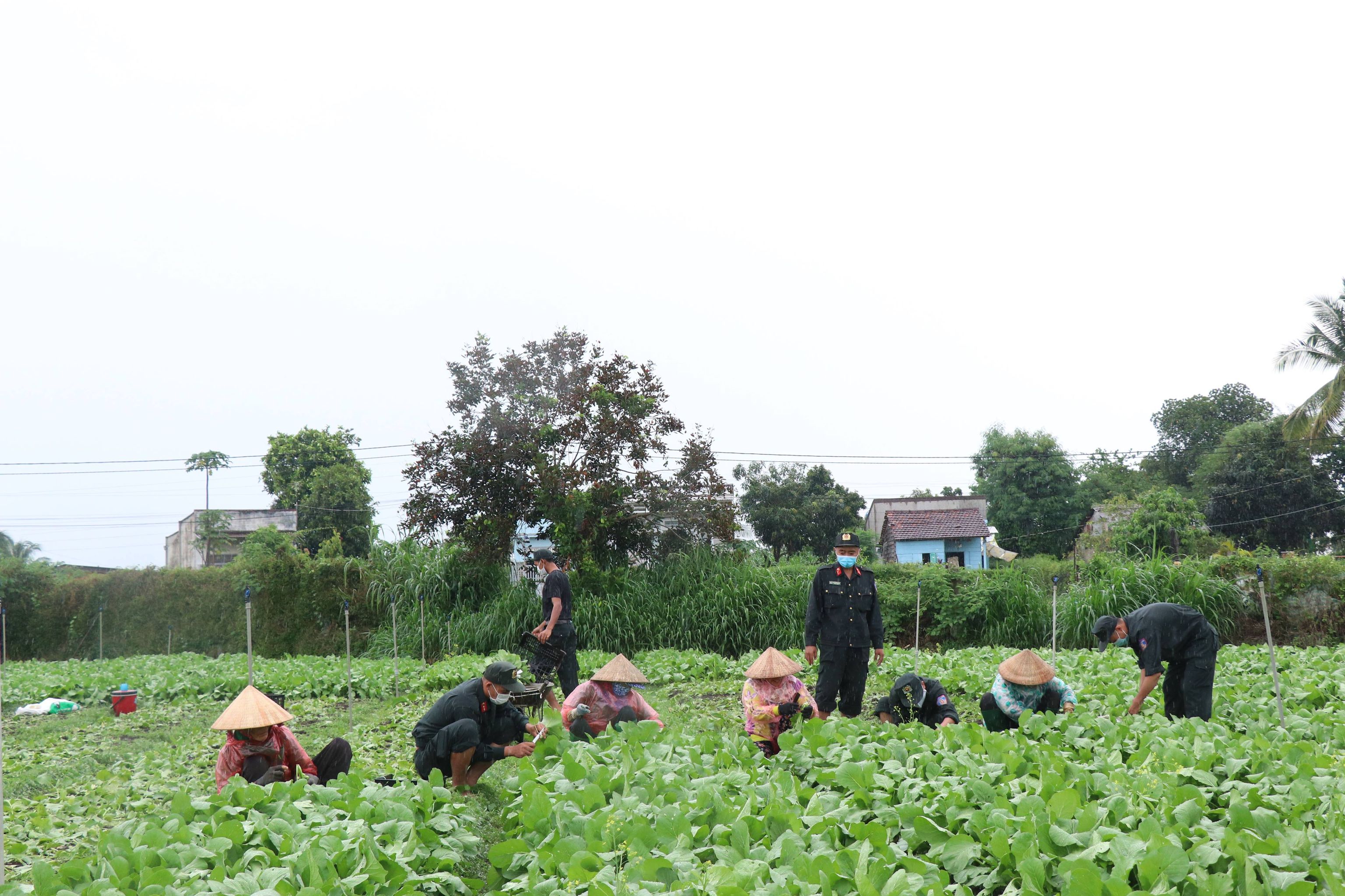 Dân sinh - Đắk Lắk: Góp hàng tấn rau, củ hỗ trợ người dân vùng dịch