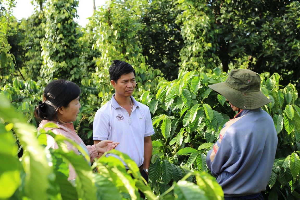 Sản phẩm - Hành trình chinh phục cà phê organic của chàng kỹ sư xây dựng