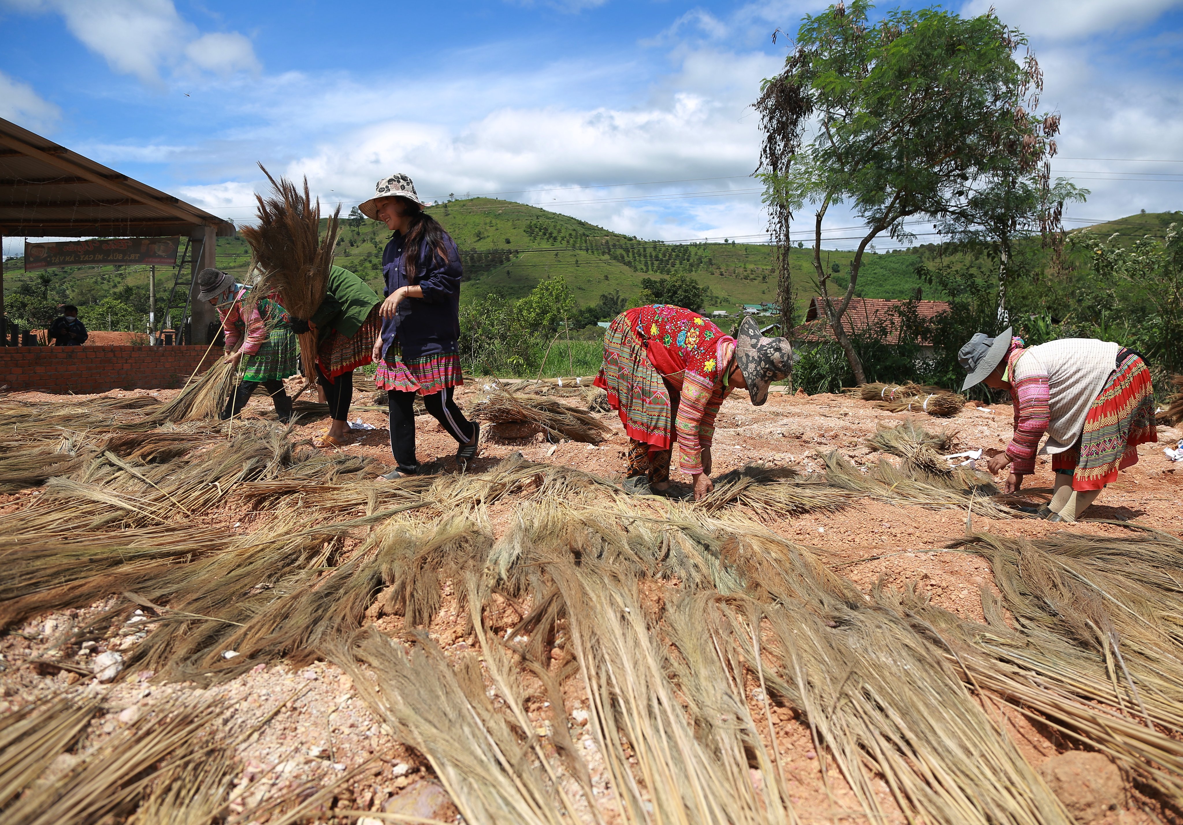 Dân sinh - Mùa hái “lộc trời” ở Đắk Lắk (Hình 4).