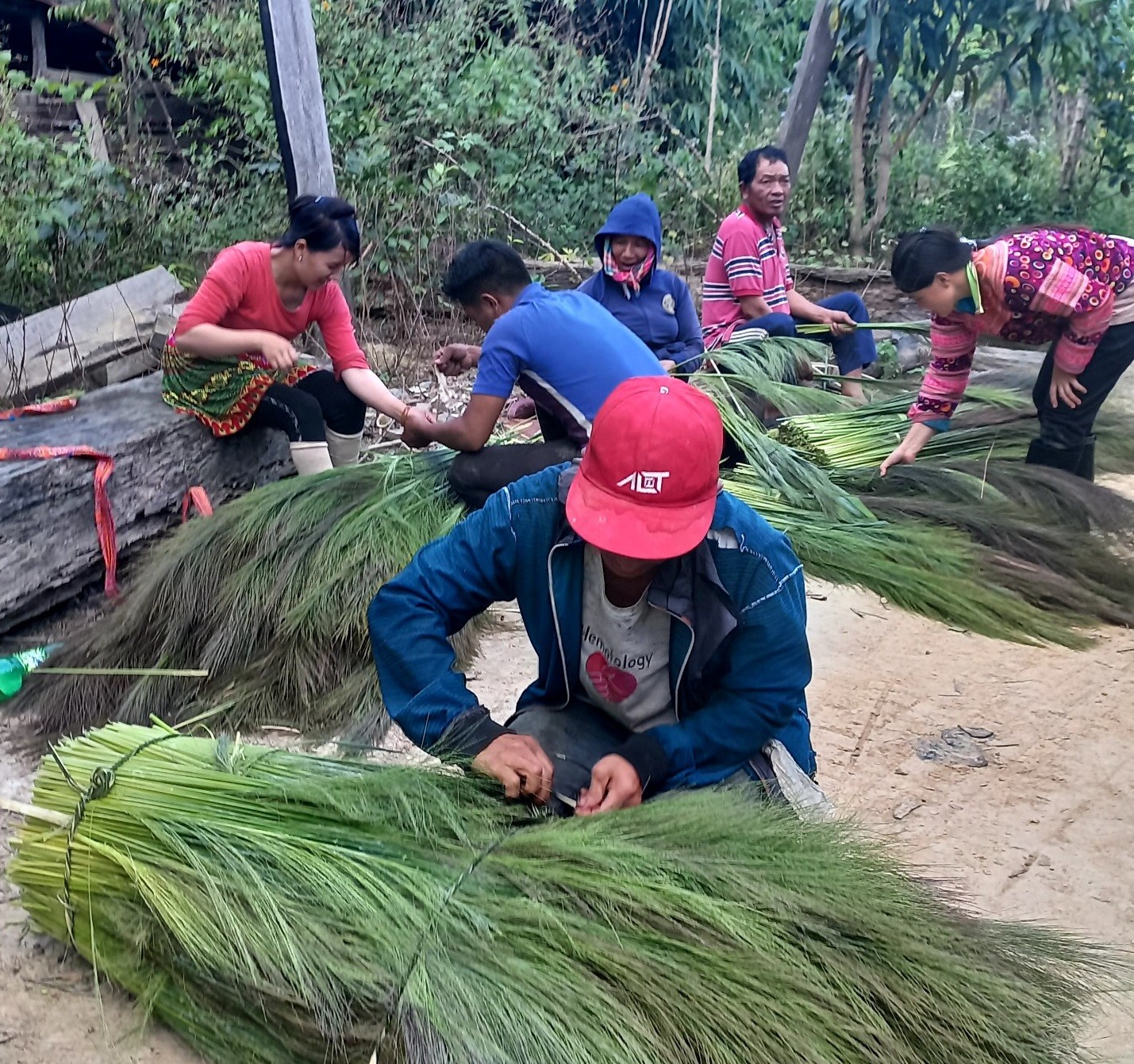 Dân sinh - Mùa hái “lộc trời” ở Đắk Lắk (Hình 3).