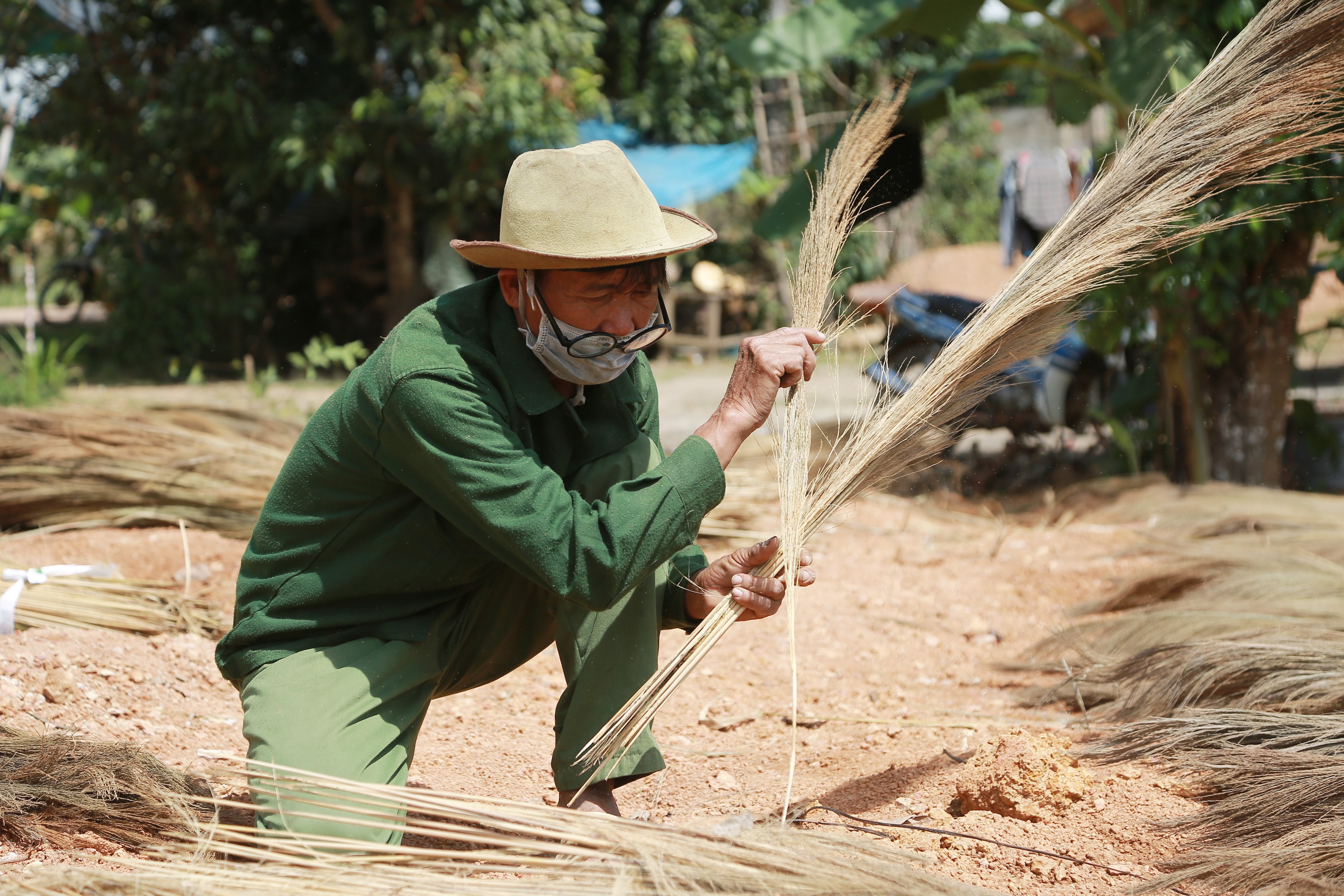 Dân sinh - Mùa hái “lộc trời” ở Đắk Lắk (Hình 5).