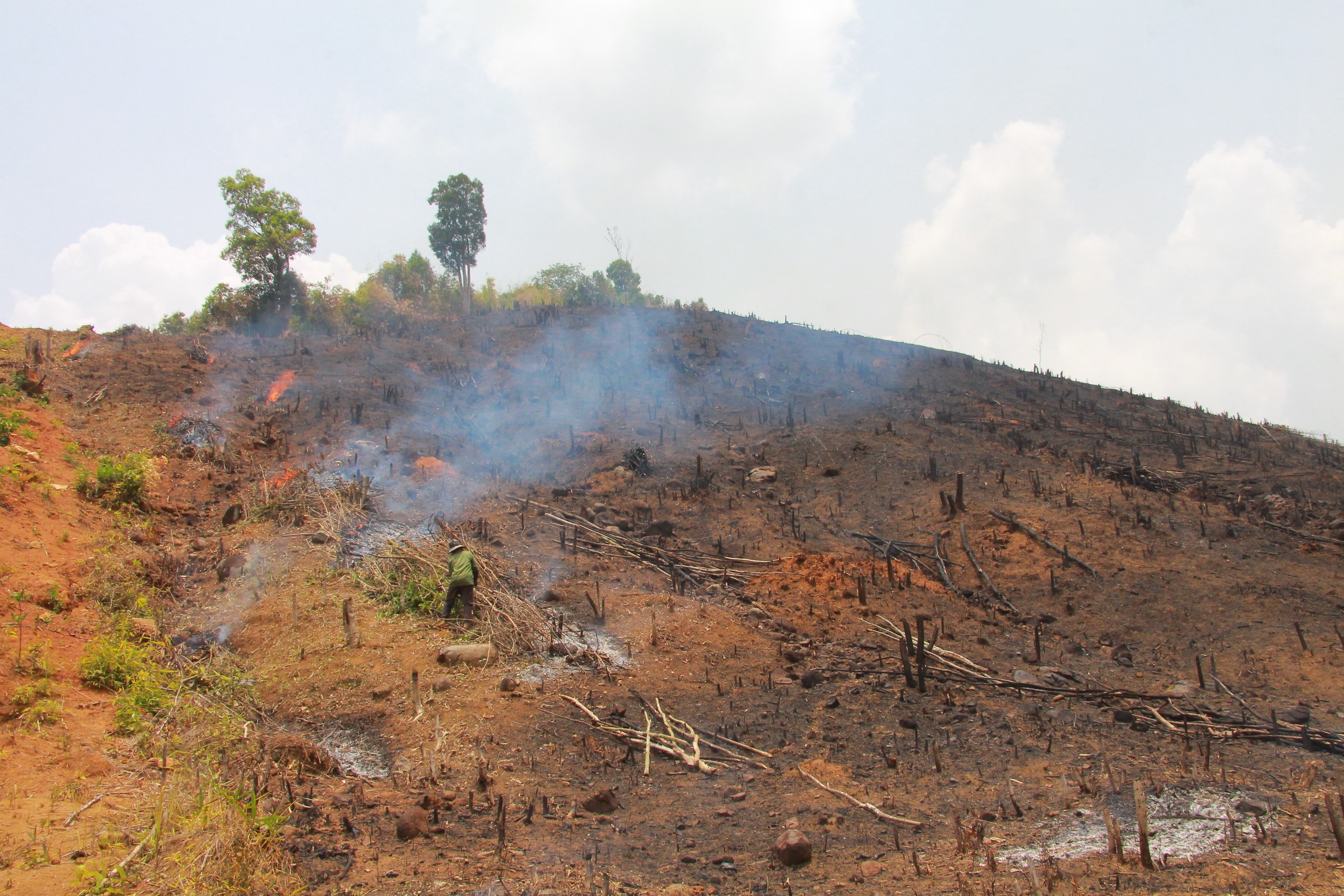 An ninh - Hình sự - Công an thông tin về các vụ phá rừng ở Đắk Lắk (Hình 2).