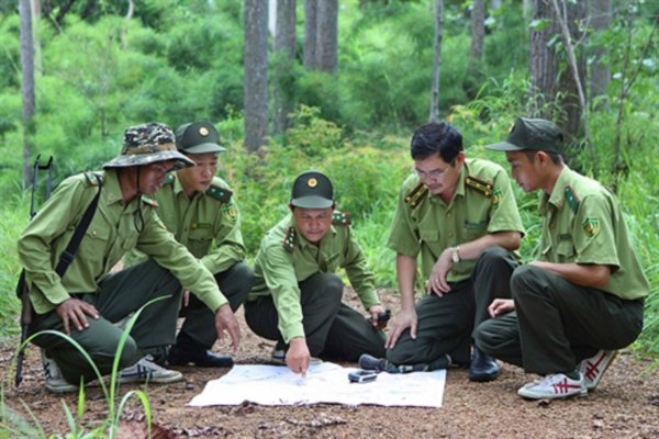 Dân sinh - Sau 30 năm, hơn 115.000ha rừng đặc dụng vẫn được bảo vệ nguyên vẹn