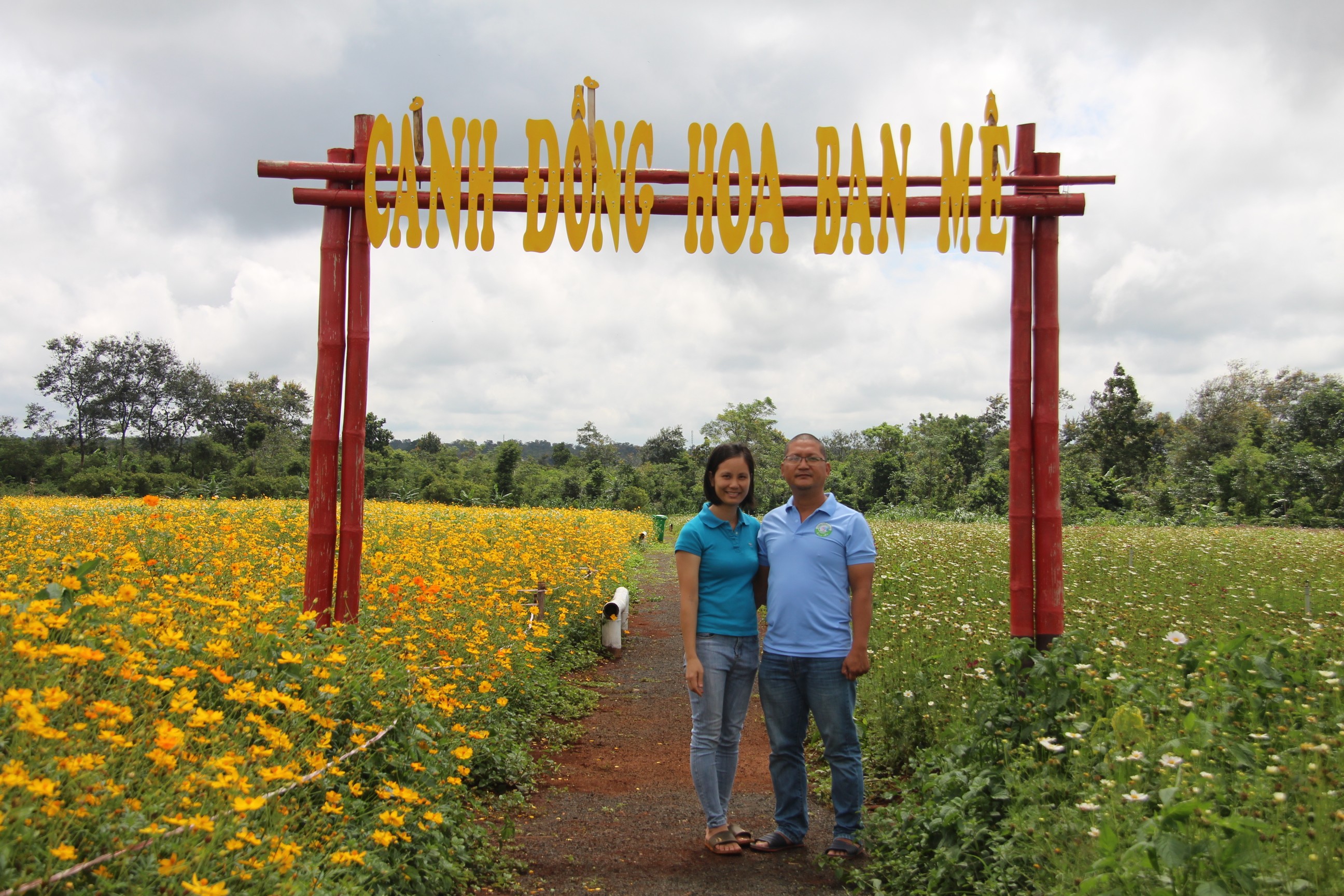 Dân sinh - Hành trình khai sinh của “Cánh đồng hoa Ban Mê”  (Hình 13).