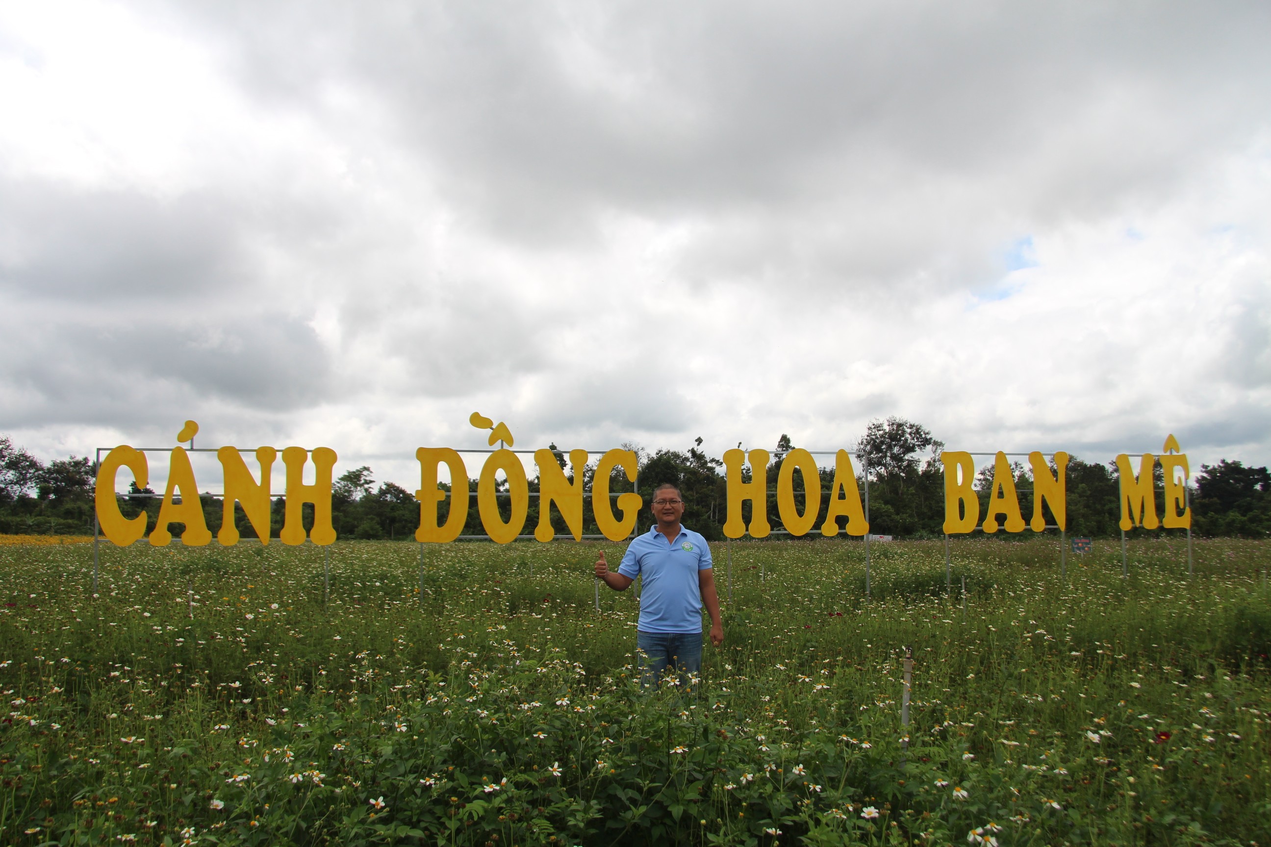 Dân sinh - Hành trình khai sinh của “Cánh đồng hoa Ban Mê”  (Hình 3).