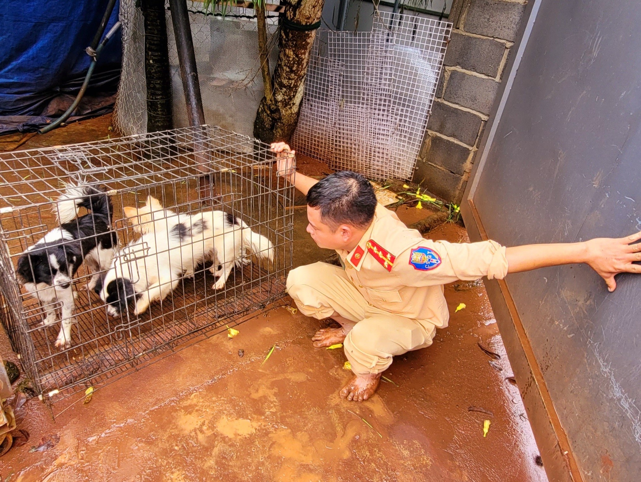 Dân sinh - Đại úy CSGT và hành trình thiện nguyện không mệt mỏi