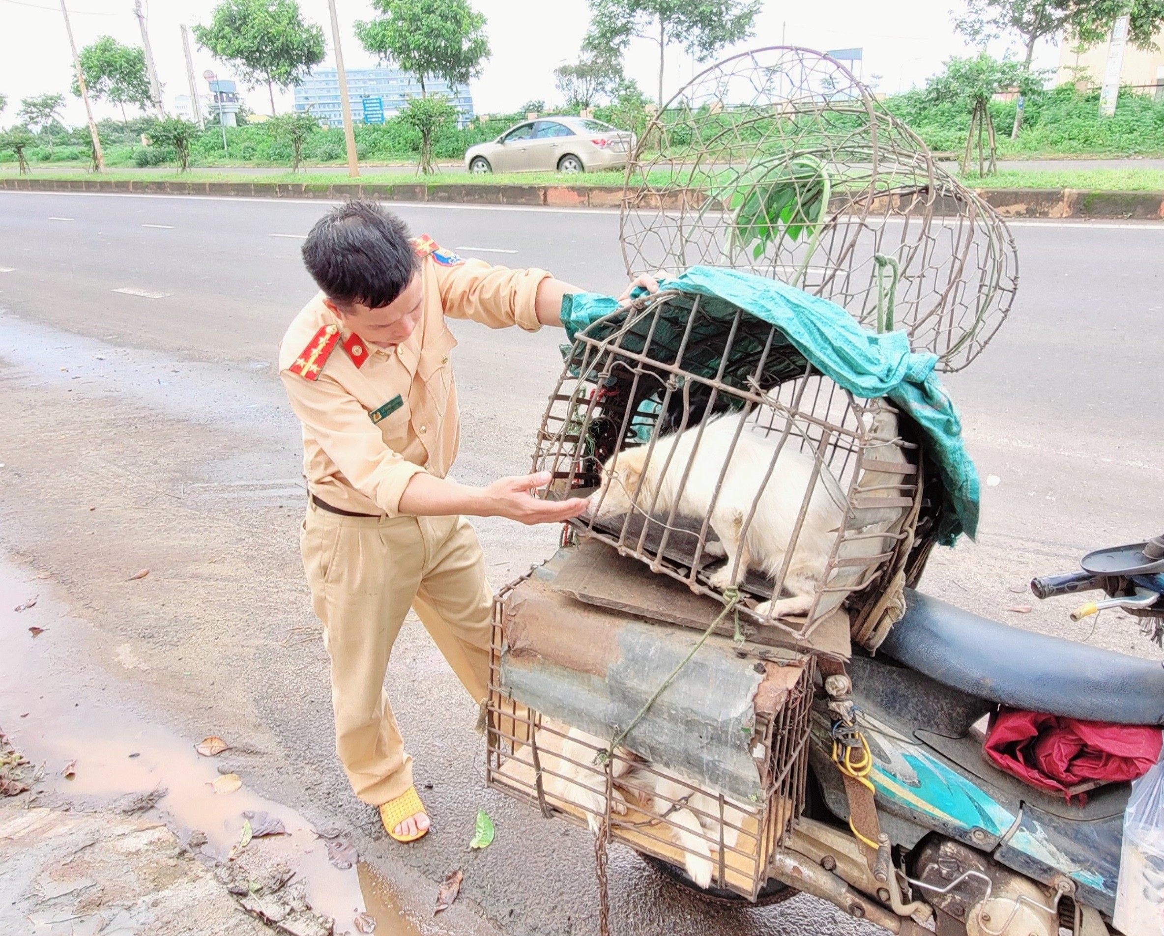 Dân sinh - Đại úy CSGT và hành trình thiện nguyện không mệt mỏi (Hình 3).