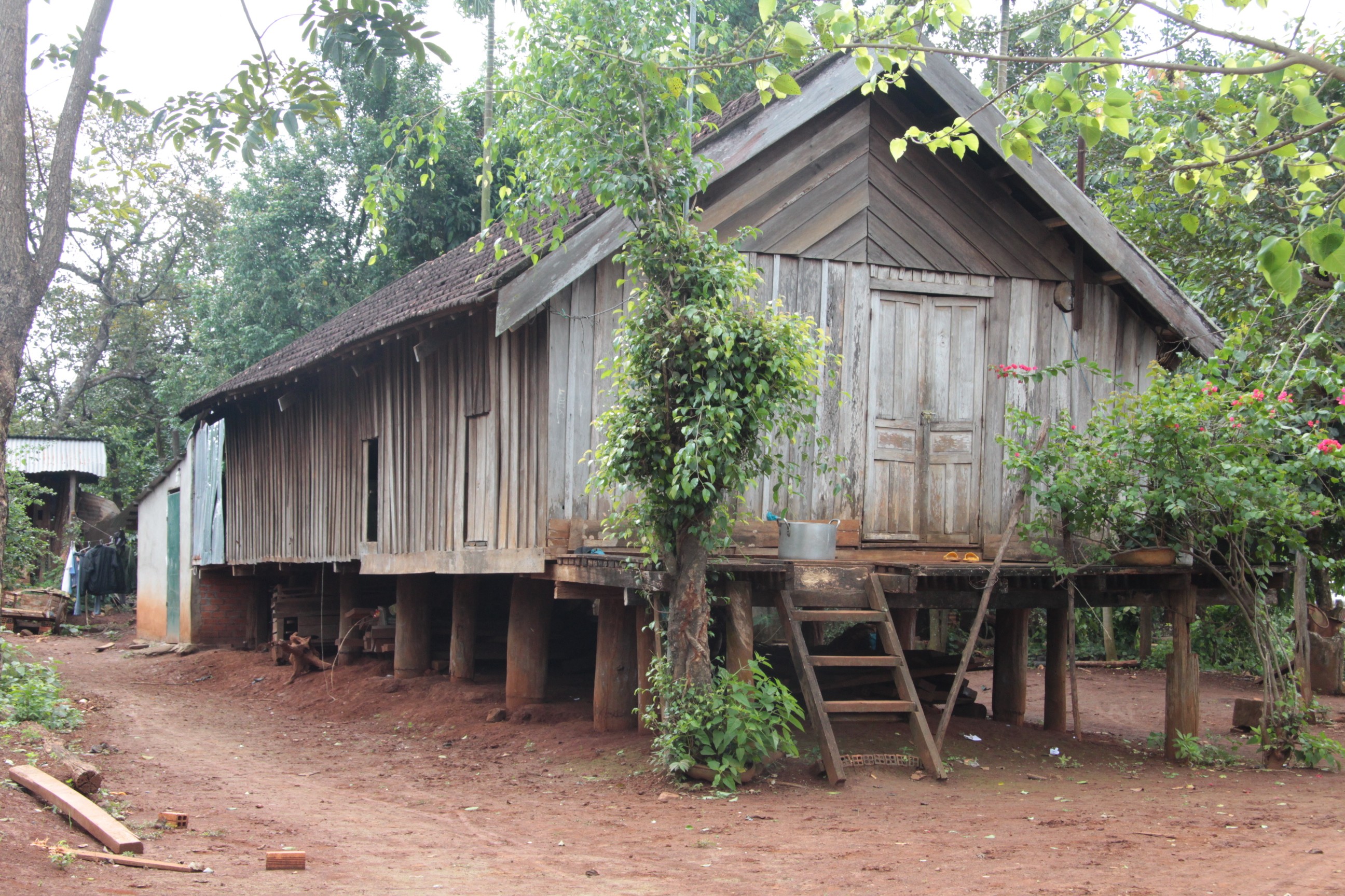 Dân sinh - Người mẹ Tây Nguyên nuôi giấu bộ đội trong buôn làng (Hình 4).