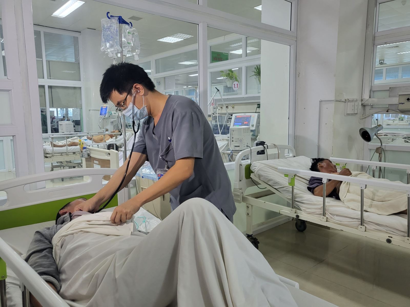Sức khỏe - Đắk Lắk: 6 người nhập viện cấp cứu do ăn nấm mọc từ xác nhộng ve sầu