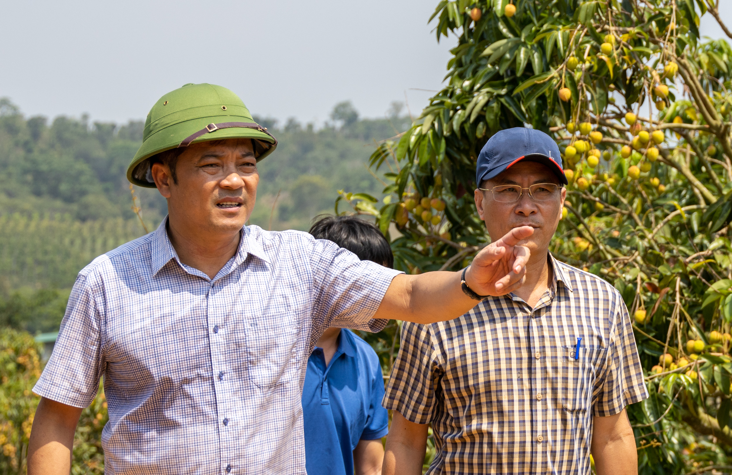 Tiêu dùng & Dư luận - Tìm “lối đi riêng” cho phát triển nông nghiệp bền vững (Hình 3).