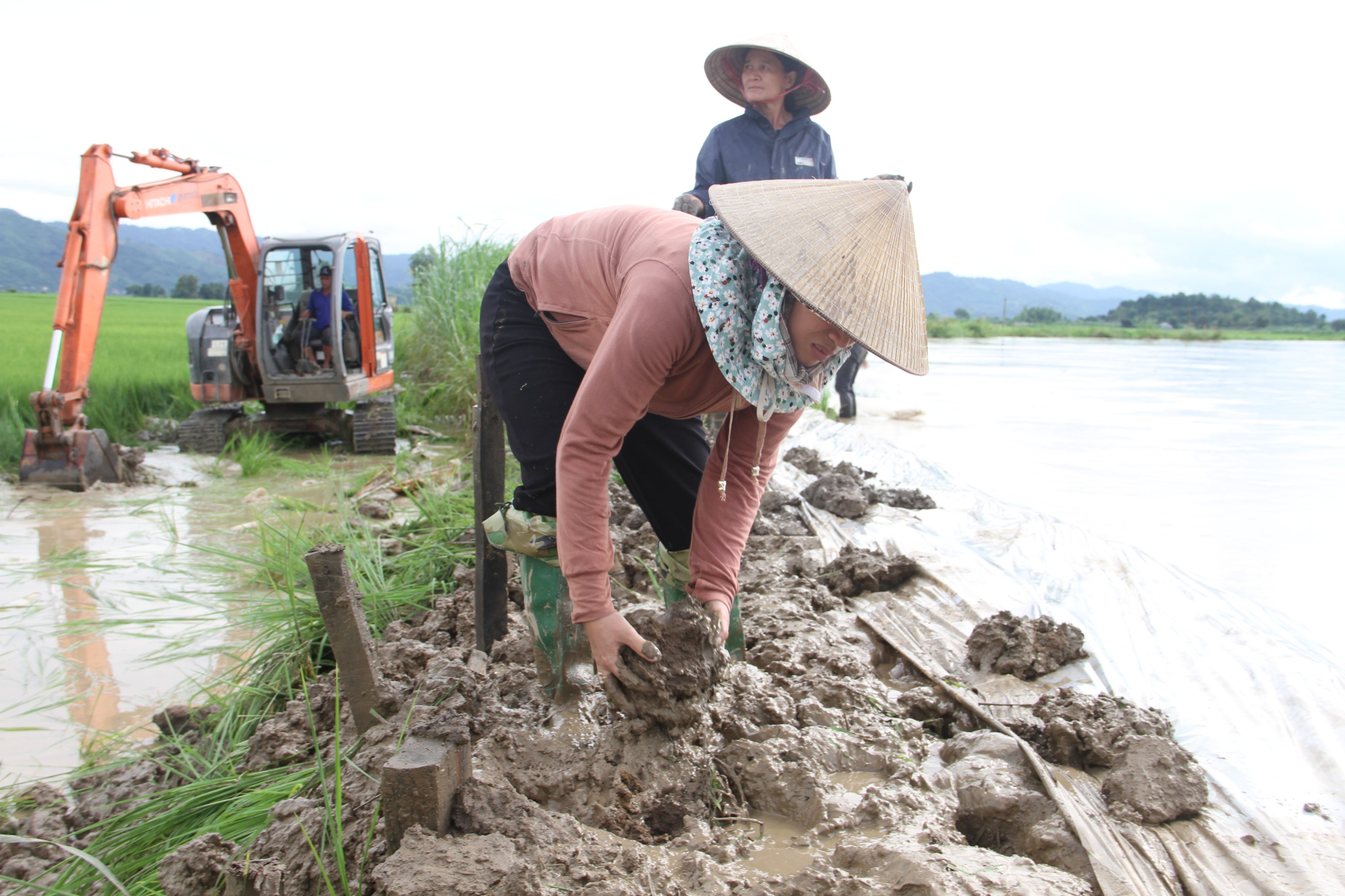 Dân sinh - Nhiều địa phương bị ngập lụt, thiệt hại nặng nề do mưa kéo dài (Hình 3).