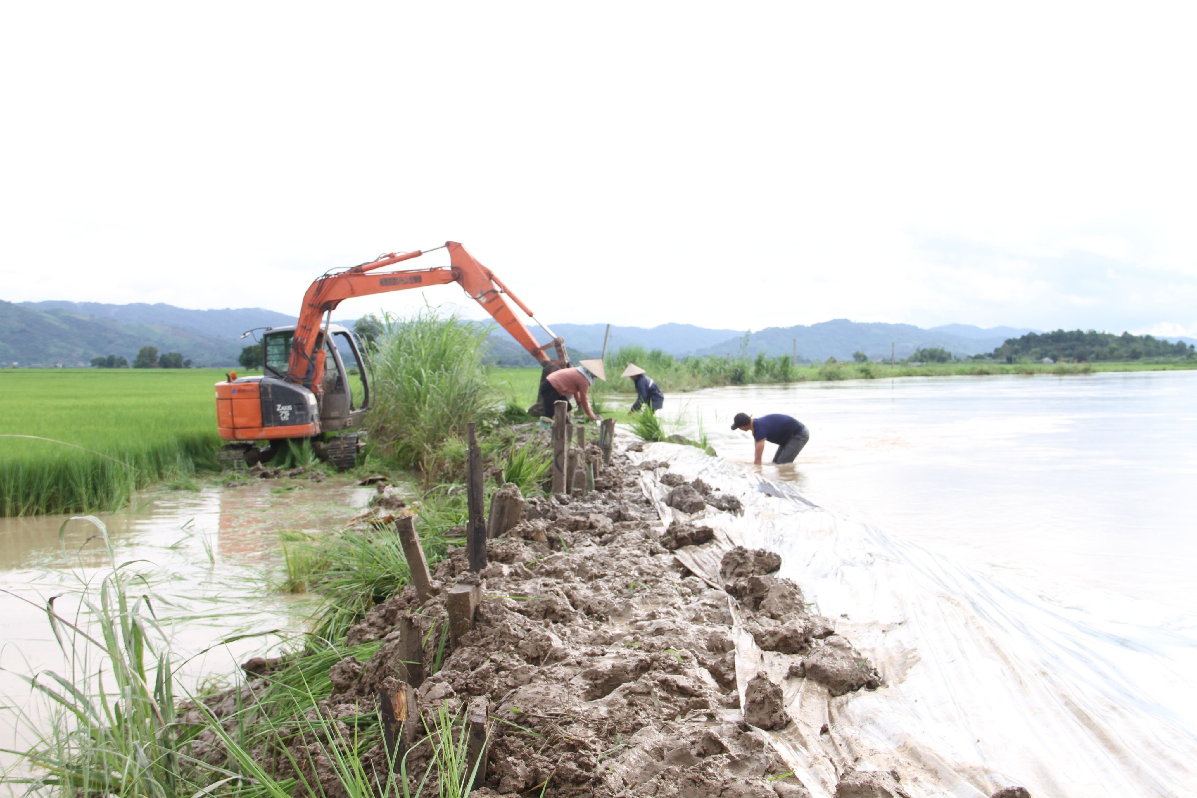 Dân sinh - Nhiều địa phương bị ngập lụt, thiệt hại nặng nề do mưa kéo dài