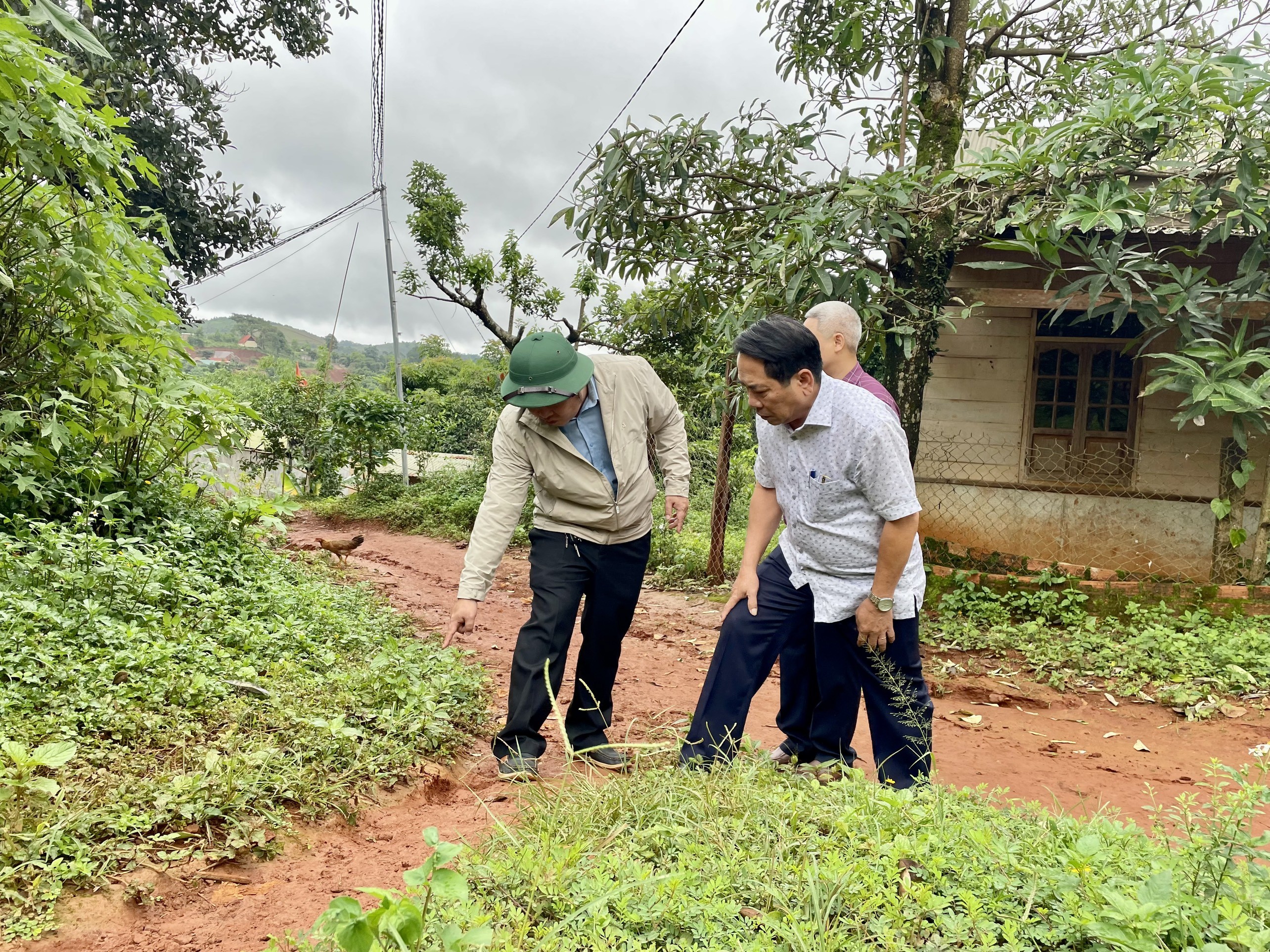 Dân sinh - Cấp tốc di dời hàng chục hộ dân ra khỏi vùng có nguy cơ sạt lở đất (Hình 4).