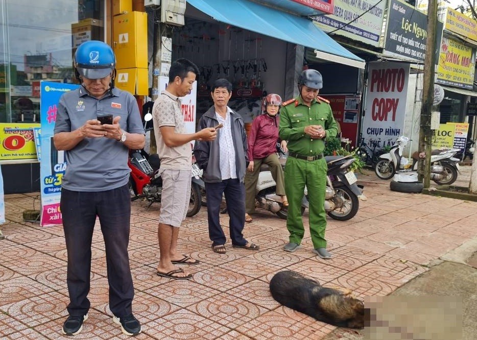 Dân sinh - Đã tiêu diệt con chó tấn công hai học sinh tiểu học 