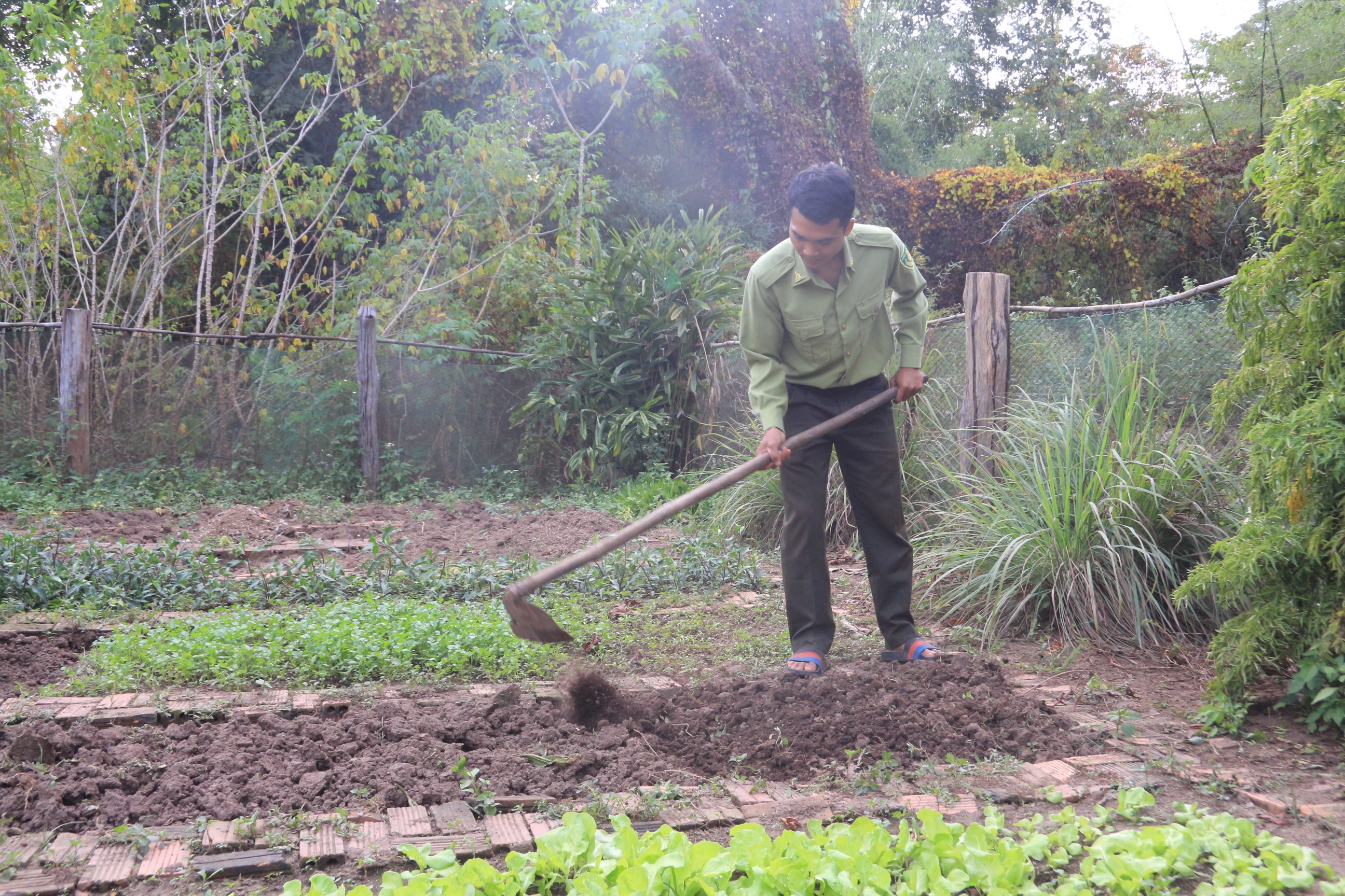 Dân sinh - Phía sau những cánh rừng: Gian nan bài toán giữ chân người giữ rừng (Bài 4) (Hình 5).