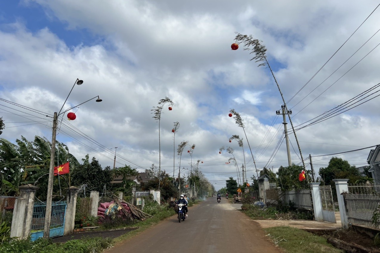 Văn hoá - Rộn ràng không khí dựng cây nêu đón Tết trên quê hương mới (Hình 2).