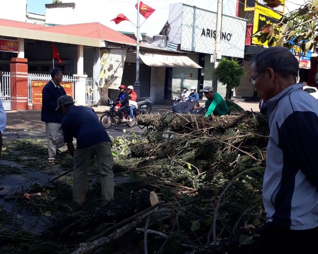 Dân sinh - Đắk Lắk: Người phụ nữ bị cây xanh đổ, đè trúng đã tử vong (Hình 2).