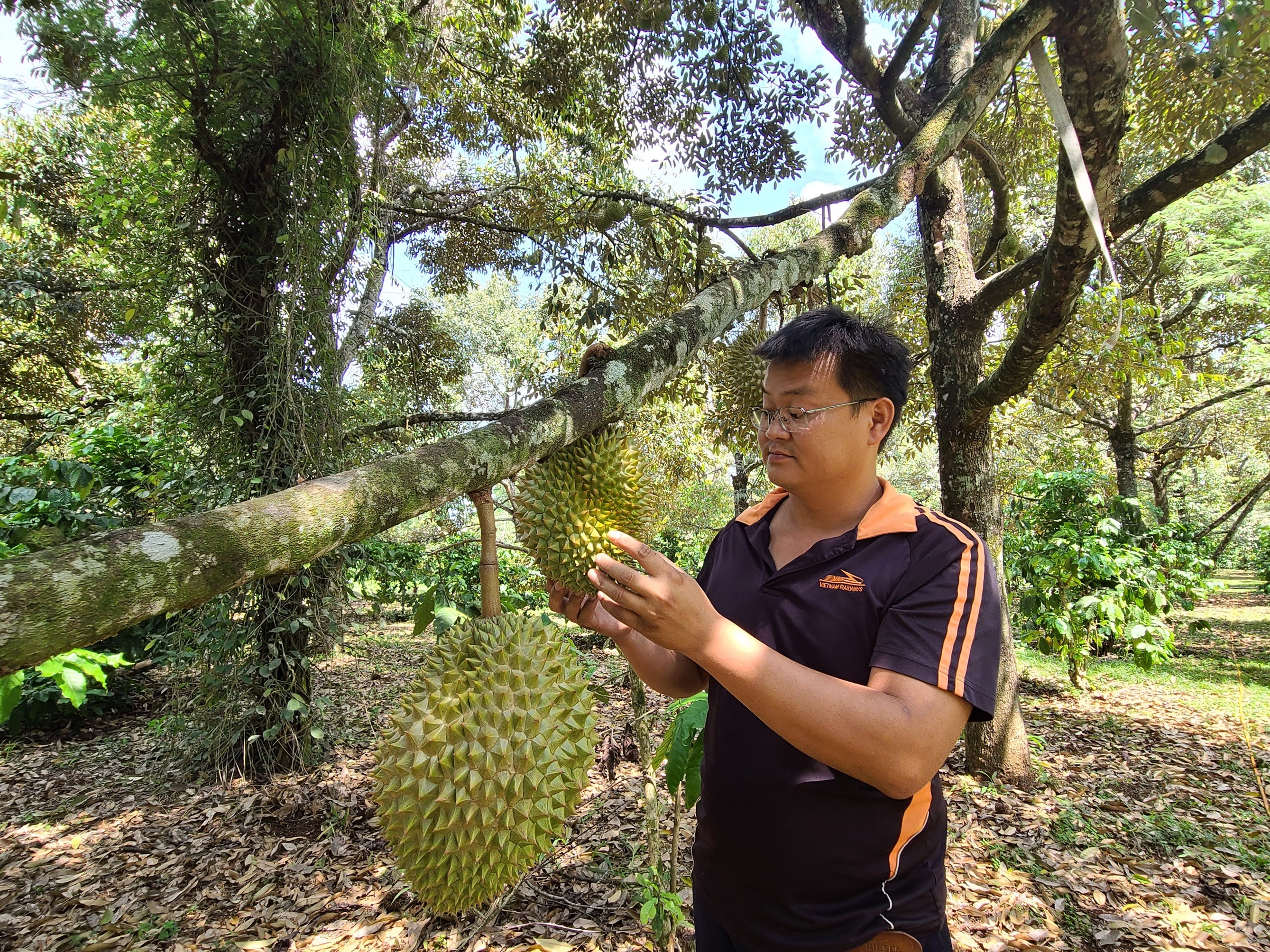 Dân sinh - Xuất ngoại học làm… nông dân, thu tiền tỷ mỗi năm