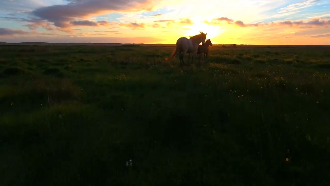 Mới- nóng - Video: Khám phá thiên đường của những thác nước tại vùng đất bí ẩn Iceland (Hình 3).