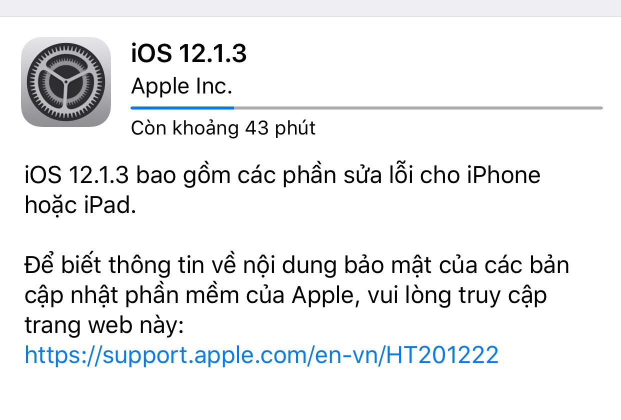 Thủ thuật - Tiện ích - Apple tung bản cập nhật iOS 12.1.3 không sửa lỗi mất kết nối dữ liệu