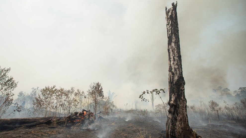 Ti&ecirc;u điểm - G-7 viện trợ 20 triệu Euro gi&uacute;p dập tắt ch&aacute;y rừng ở Amazon, Brazil bất ngờ từ chối (H&igrave;nh 2).